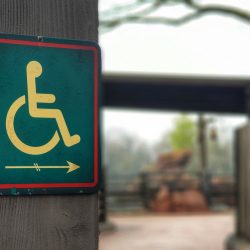 Besucher:innen mit Behinderungen